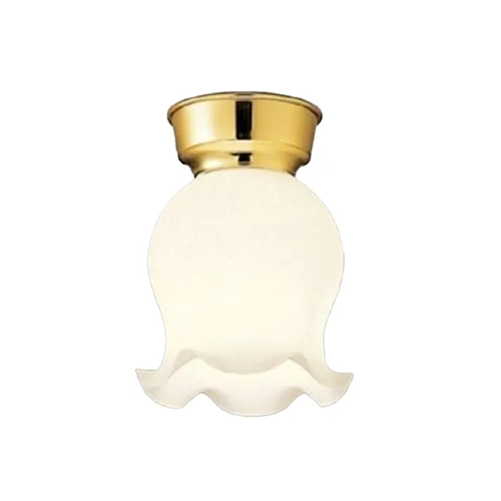 大光電機 LED小型シーリングライト DXL-81035