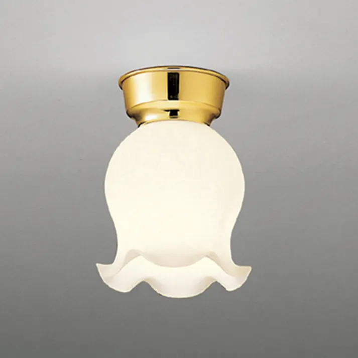 大光電機 ランプ別売照明器具カバー 廊下・内玄関灯 DXN-81057