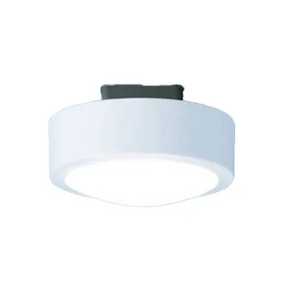 大光電機 小型LEDシーリングライト 昼光色 DXL-81243B