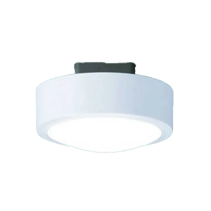 大光電機 小型LEDシーリングライト 昼光色 DXL-81243B