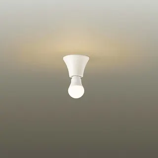 大光電機 LED内玄関灯 電球色 DXL-81287C