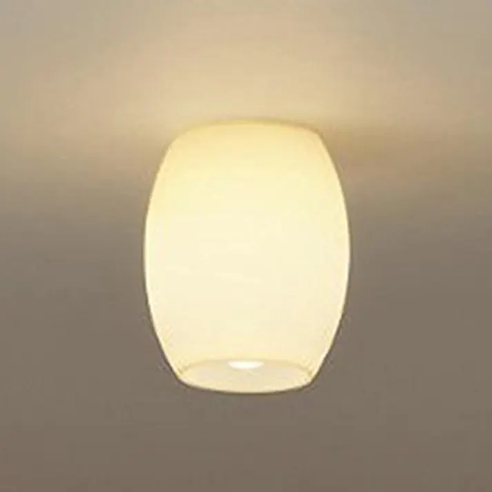大光電機 LED内玄関灯 シリコン DXL-81291C