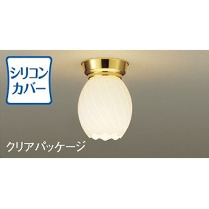 大光電機 LED内玄関灯 電球色 シリコン DXL-81294C