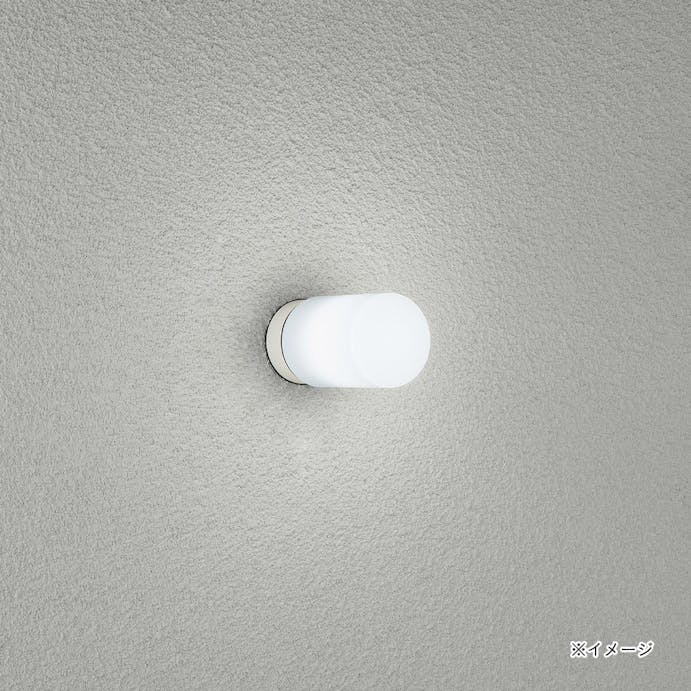 大光電機 浴室灯 昼白色 DXL-81337C