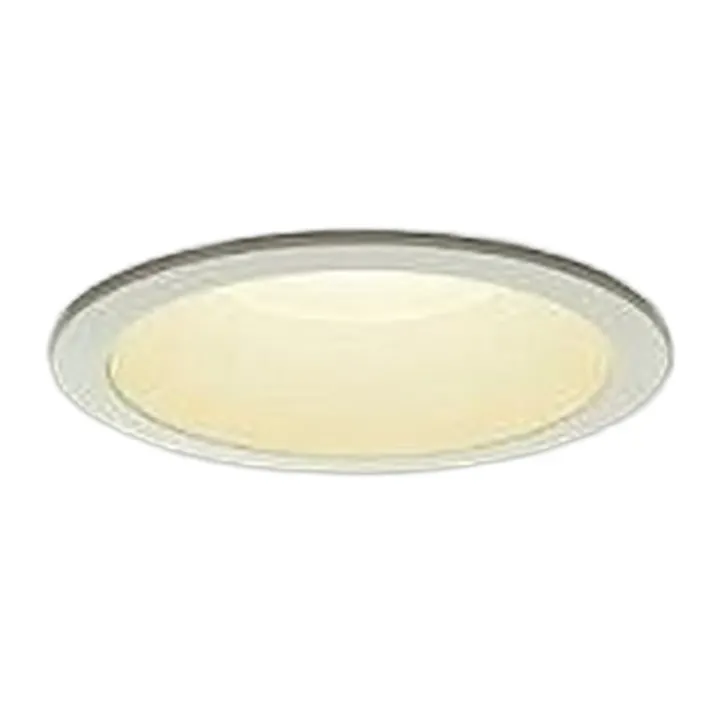 大光電機 LEDダウンライト電球色 DDL-60YHC