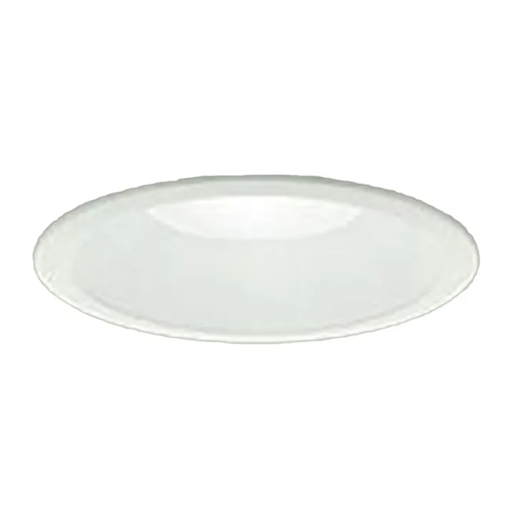 大光 ダウンライト 昼白色 DDL-60WJHC