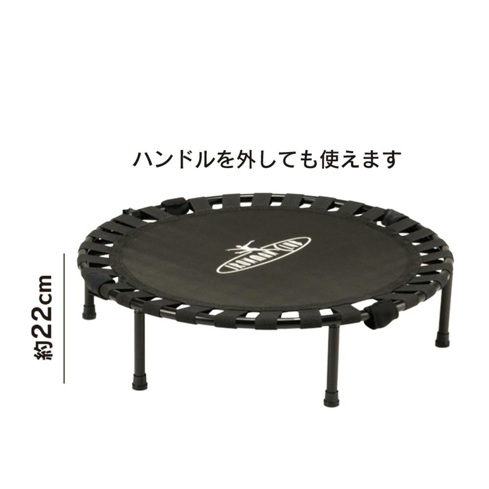限定トランポリン スリクソン ZX5 Mk II LS ドライバー Diamana ZX-II 50