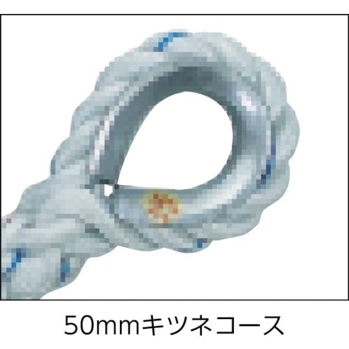 CAINZ-DASH】藤井電工 ブロック取付け用台付ロープ DR－1000 DR