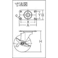 【CAINZ-DASH】ハンマーキャスター Ｅシリーズ旋回式ナイロン車輪　１００ｍｍ　ストッパー付 415E-N100【別送品】