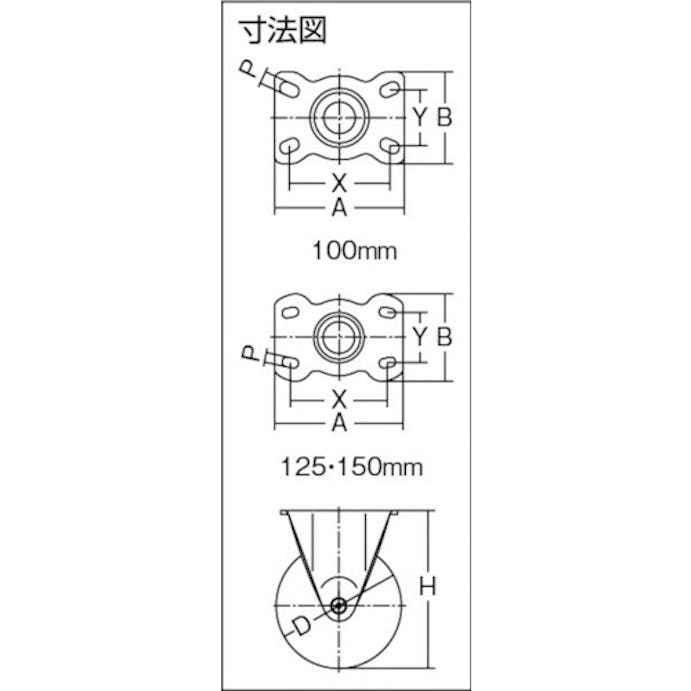 【CAINZ-DASH】ハンマーキャスター 固定式ナイロン車輪　１２５ｍｍ 420SR-N125【別送品】