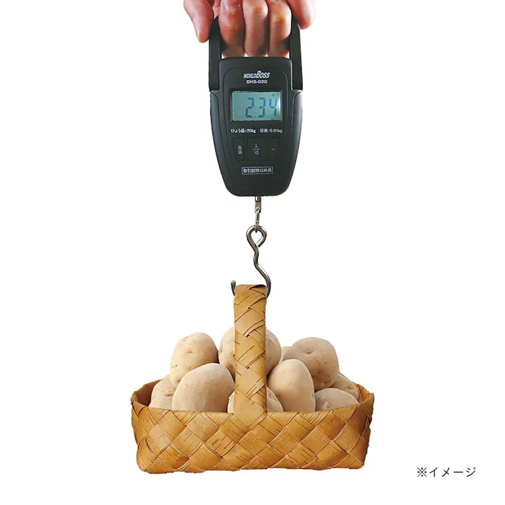 デジタル 吊りばかり 20kg DHS-020