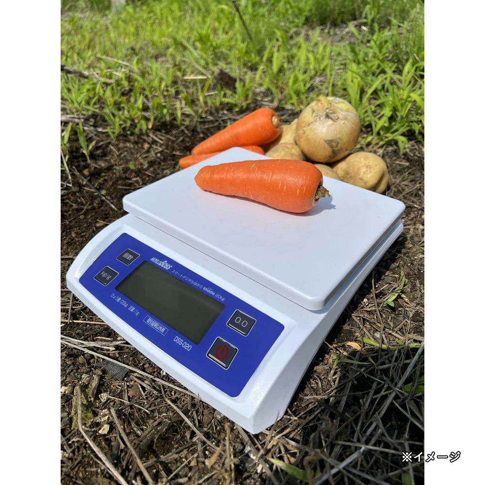 ワールドボス スマートデジタルはかりミドル 20kg DSS-020 | 作業工具
