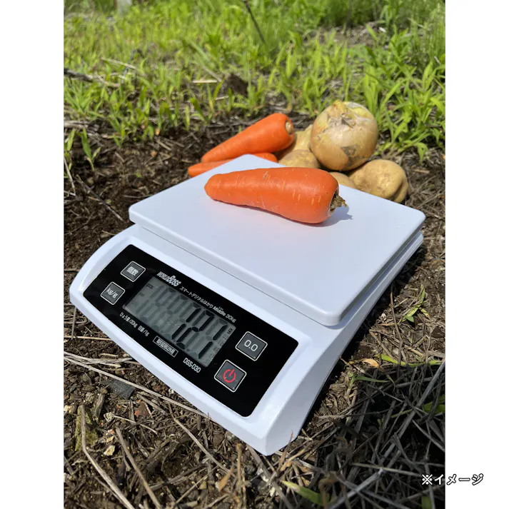 ワールドボス スマートデジタルはかりミドル 30kg DSS-030
