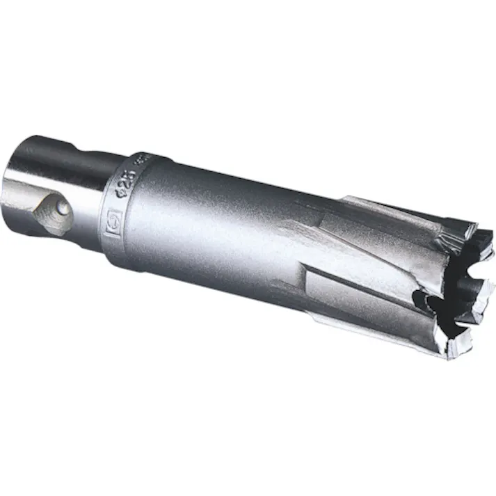 【CAINZ-DASH】ミヤナガ 磁気ボール盤カッター デルタゴンメタルボーラー500A Φ36 DLMB50A36【別送品】