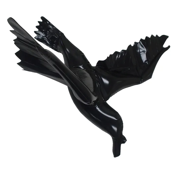 風船カラスの黒ちゃん 2PC