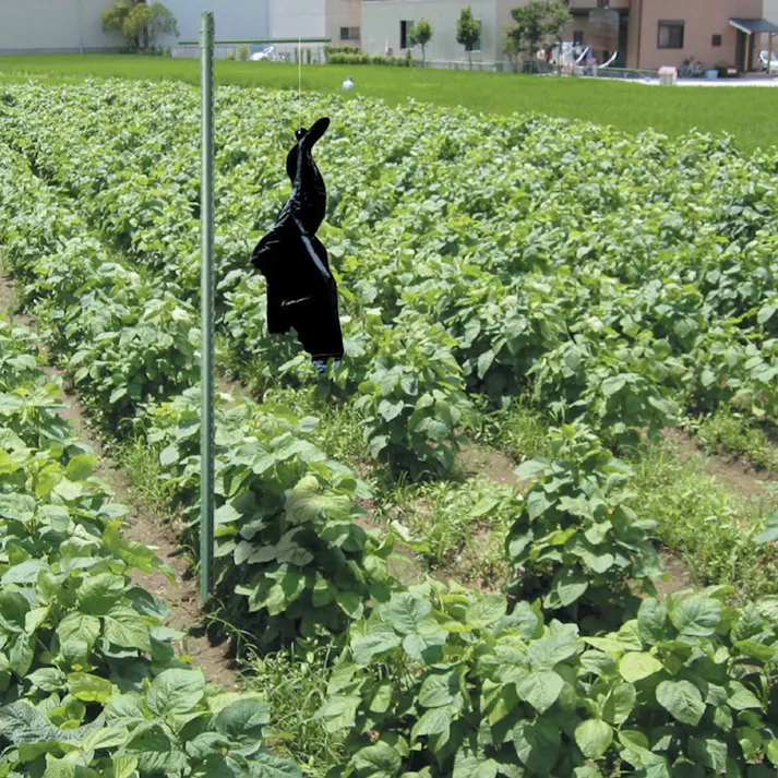 風船カラスの黒ちゃん 2PC