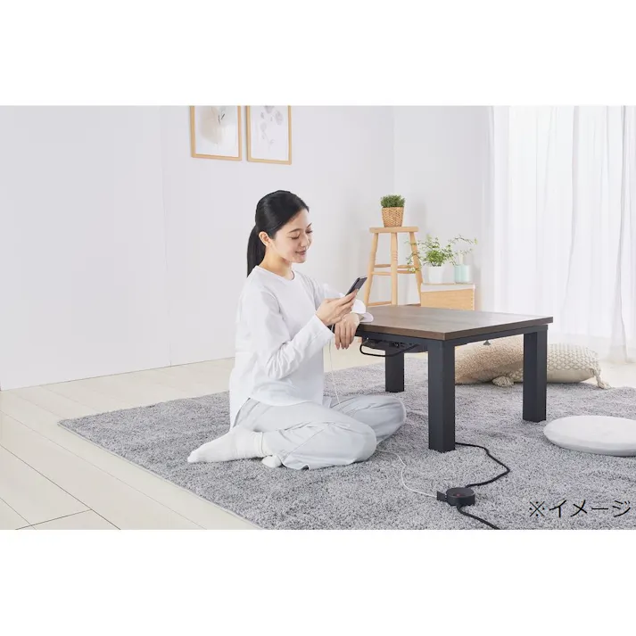 ノア USBポート付きこたつコード ブラック NKC-302L 幅9cm 奥行7cm 高さ27cm USBポートType-A/Type-C