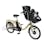 【自転車】《丸石サイクル》電動アシスト自転車 ふらっか～ずシュシュアシスト FR 20インチ マットベージュ