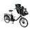 【自転車】《丸石サイクル》電動アシスト自転車 ふらっか～ずシュシュアシスト FR 20インチ マットブラック