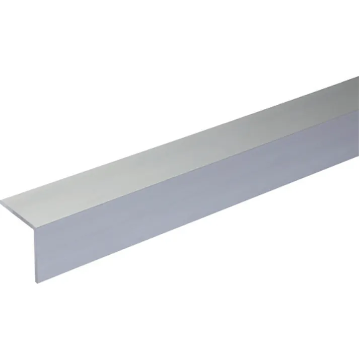 【CAINZ-DASH】光モール アルミアングル AL0.8×30×30 1000mm 1255【別送品】