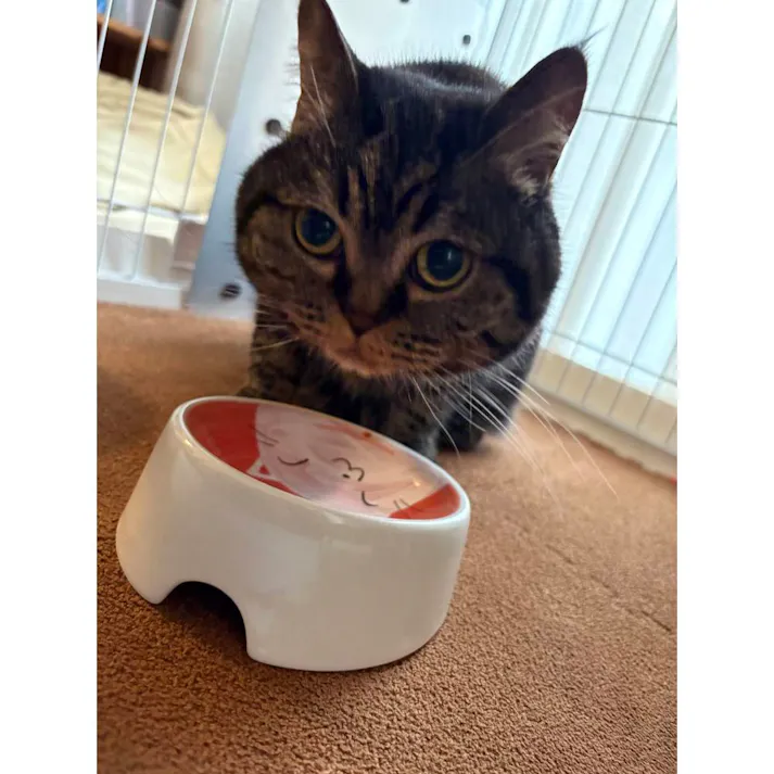 猫用食器猫の耳Mタイプ赤