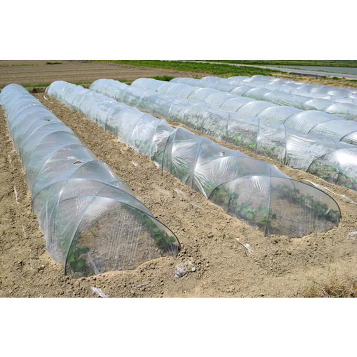 【CAINZ-DASH】イノベックス リビングソリューション部 防虫ネット 透明 1.8×10m 241304【別送品】