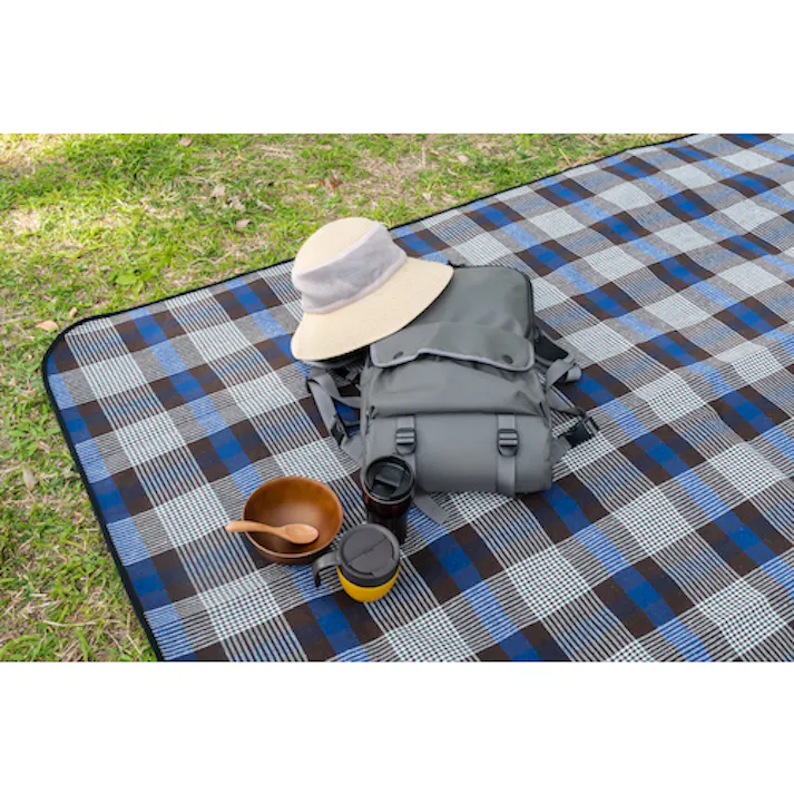 【CAINZ-DASH】イノベックス リビングソリューション部 CHISPAマルチラグ ブルー 290715【別送品】