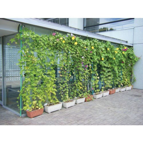 CAINZ-DASH】イノベックス リビングソリューション部 つるもの園芸