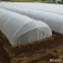 サンシャインソフト N-3330 1.35×100m 0.6mm目合い