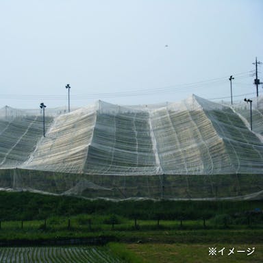 サンシャイン 6010S 1×100m 2×6mm目合い