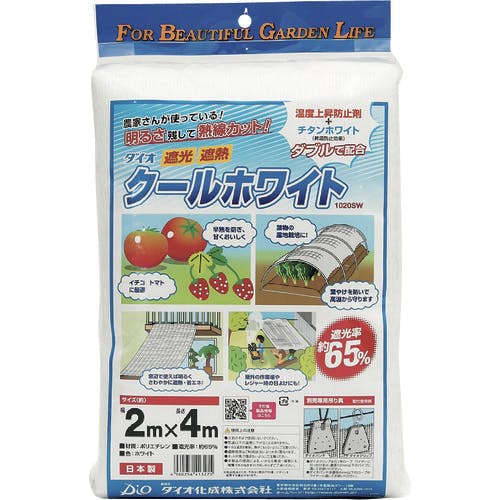 CAINZ-DASH】イノベックス リビングソリューション部 クール
