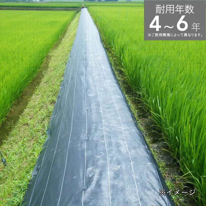 ダイオ化成 ダイオ グランドシート S 黒 2×100m