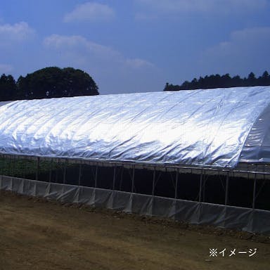 農涼シート 2号 6×30m