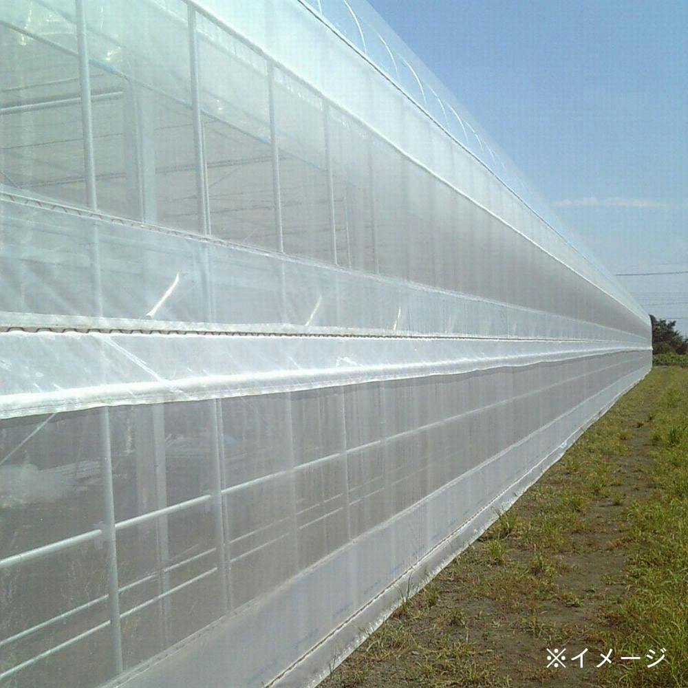 防虫ネット 園芸 農業資材 ホームセンター通販 カインズ 防虫ネット 園芸 農業資材 ホームセンター通販 カインズ