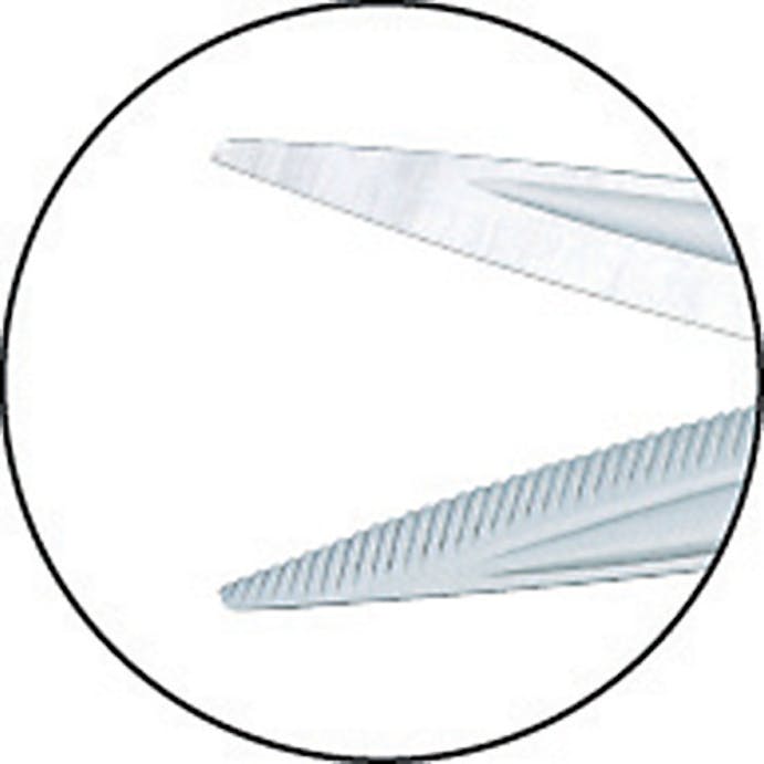 【CAINZ-DASH】小山刃物製作所 刈込み鋏　のこかり　長木柄　刃１８０ｍｍ×６５０ｍｍ F2-650【別送品】