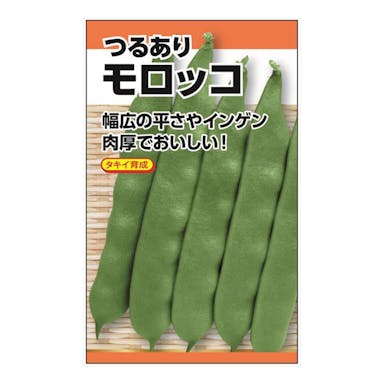 日本農産種苗 つるありモロッコ菜豆