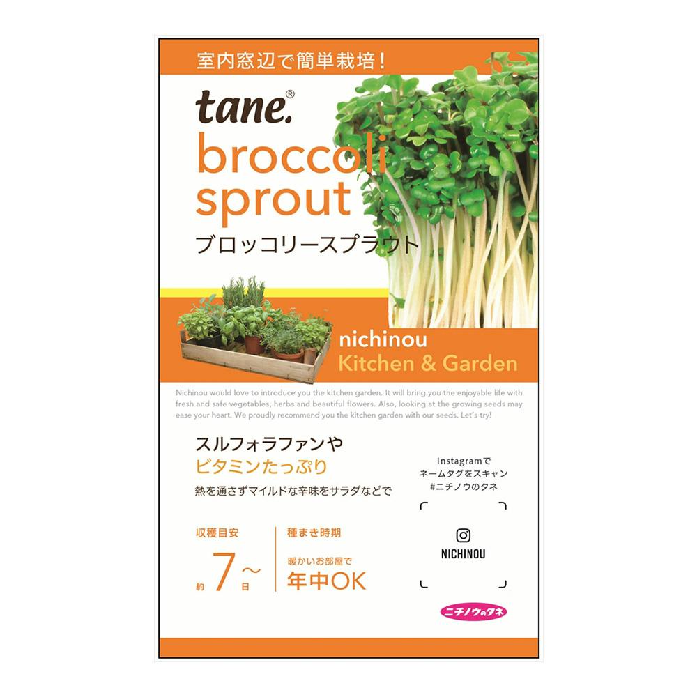 キッチンガーデンブロッコリースプラウト