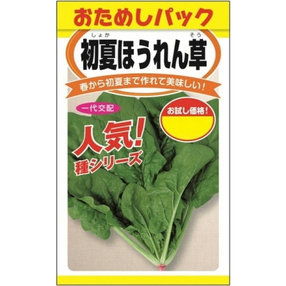 楽秋ほうれん草(販売終了) | 花＆グリーン 通販 | ホームセンターの