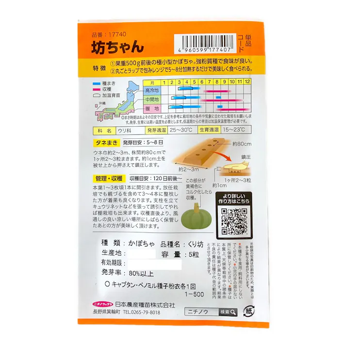 ニチノウ かぼちゃ坊ちゃん
