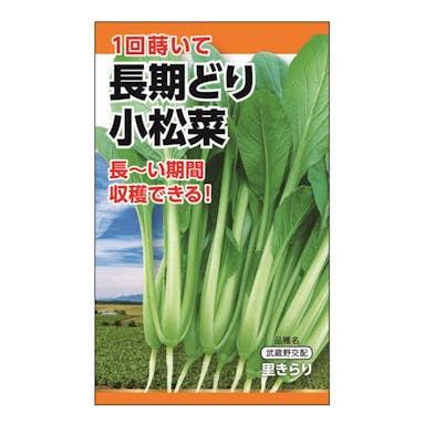 日本農産種苗 長期どり小松菜
