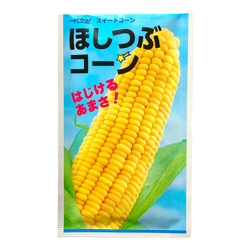 とうろもこし！ タキイ種苗 ほしつぶコーン | 花＆グリーン 通販