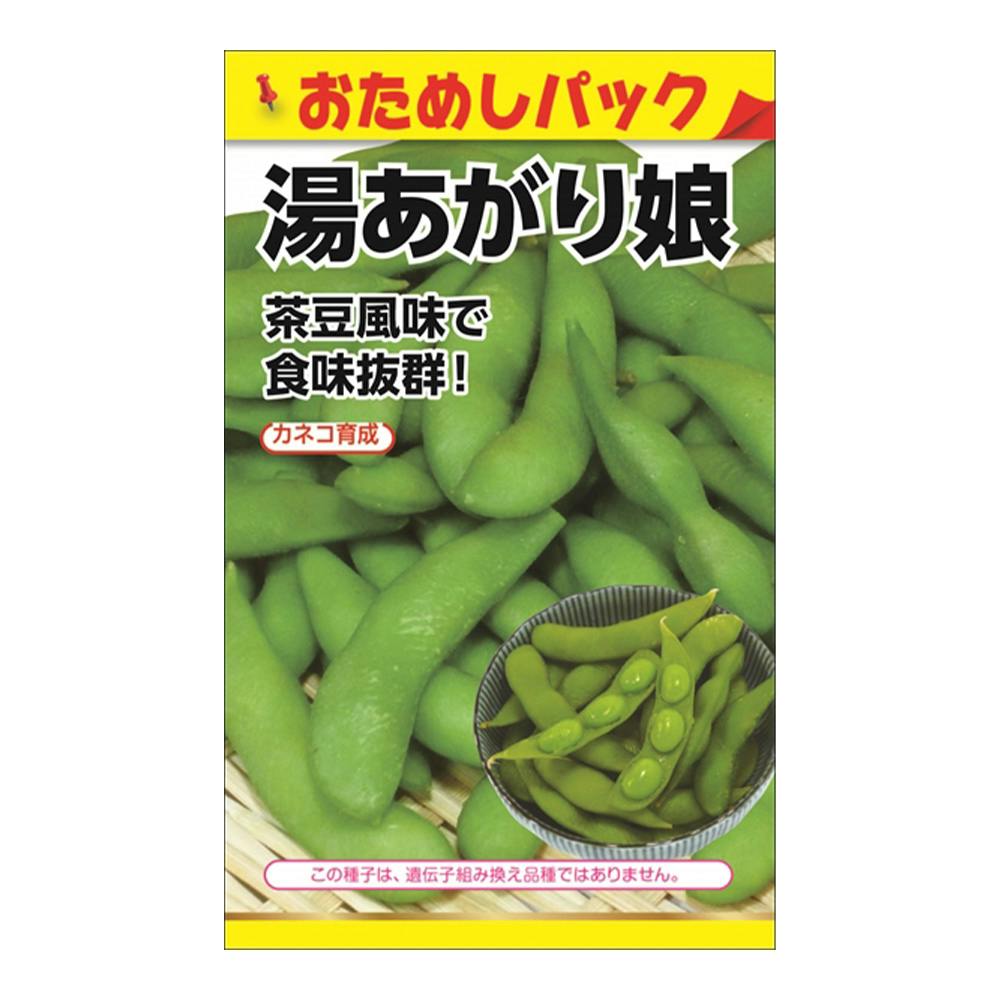 小豆出品 小豆大納言(販売終了) | 花＆グリーン 通販 | ホームセンターの