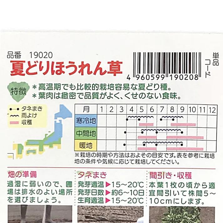 夏どりほうれん草