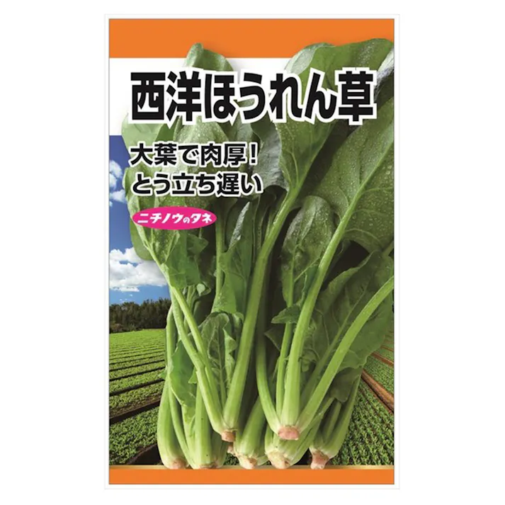 西洋ほうれん草