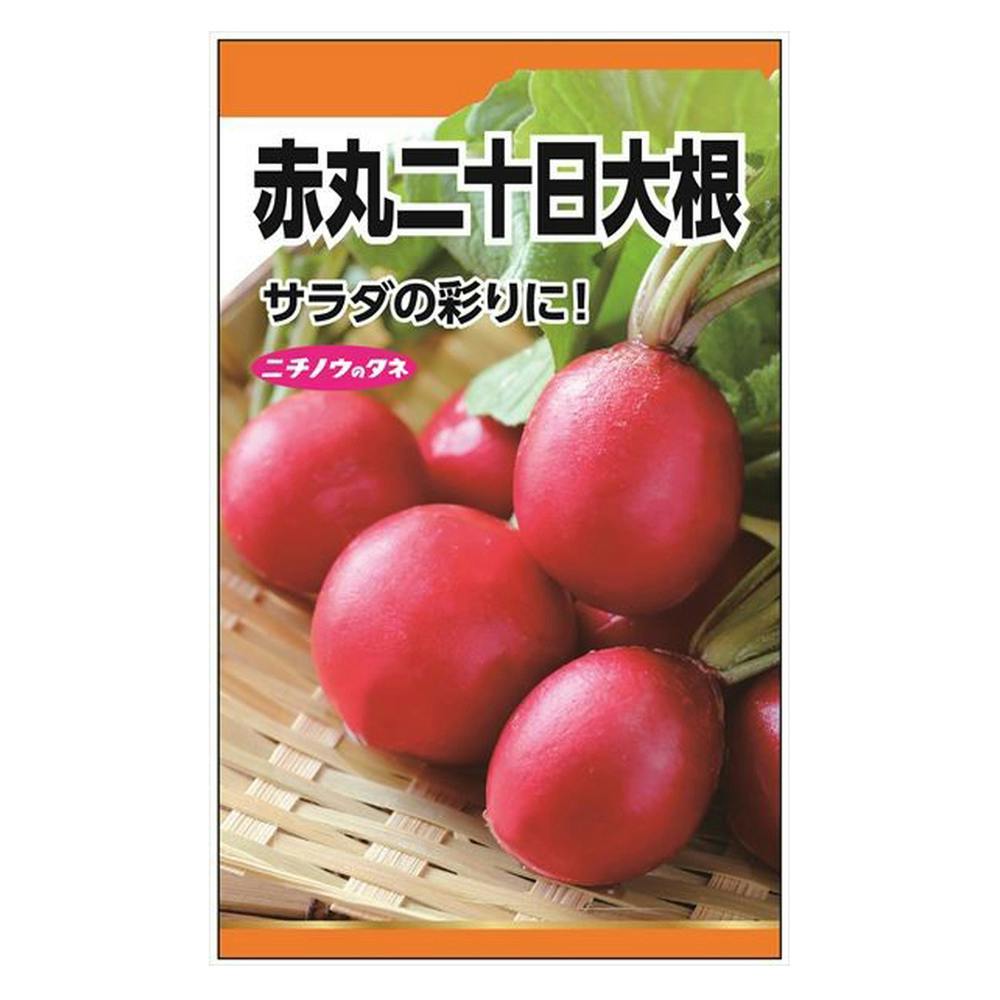 赤丸 二十日大根