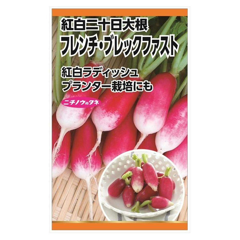 フレンチブレックファスト 二十日大根