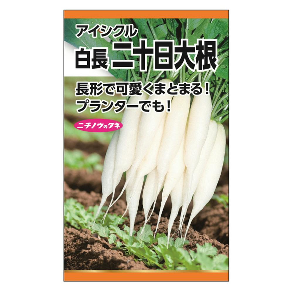アイシクル 二十日大根