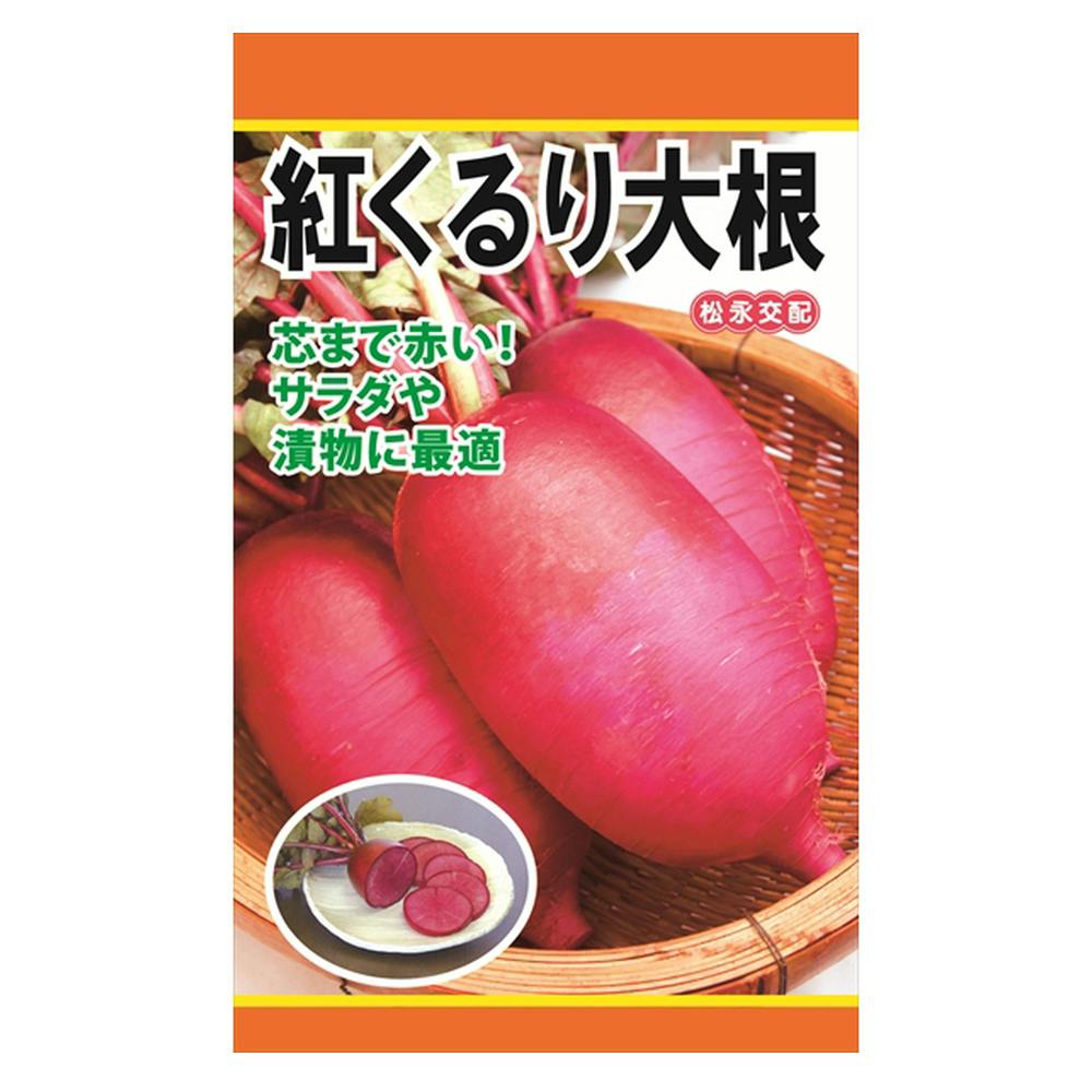 紅くるり大根