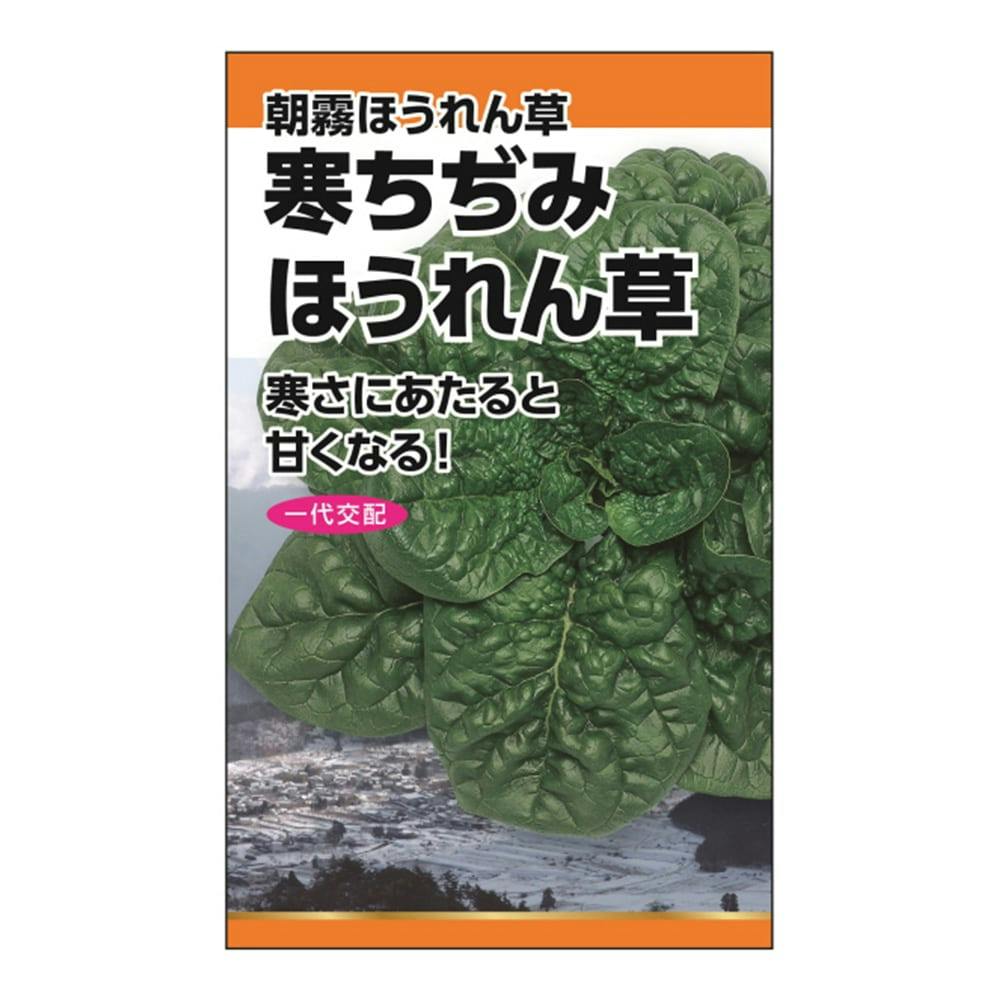 つるなし赤花えんどう | 花＆グリーン 通販 | ホームセンターの