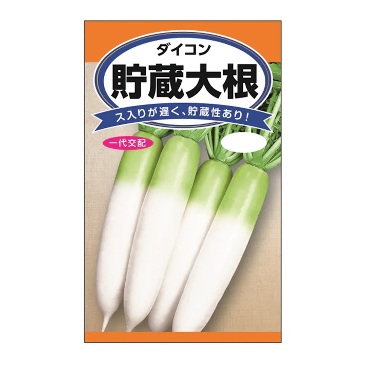 交配貯蔵総太大根